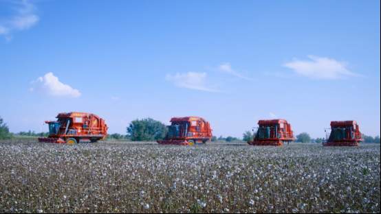 融媒·先锋｜济南智造，补上中国棉业关键一环——天山脚下，天鹅飞来