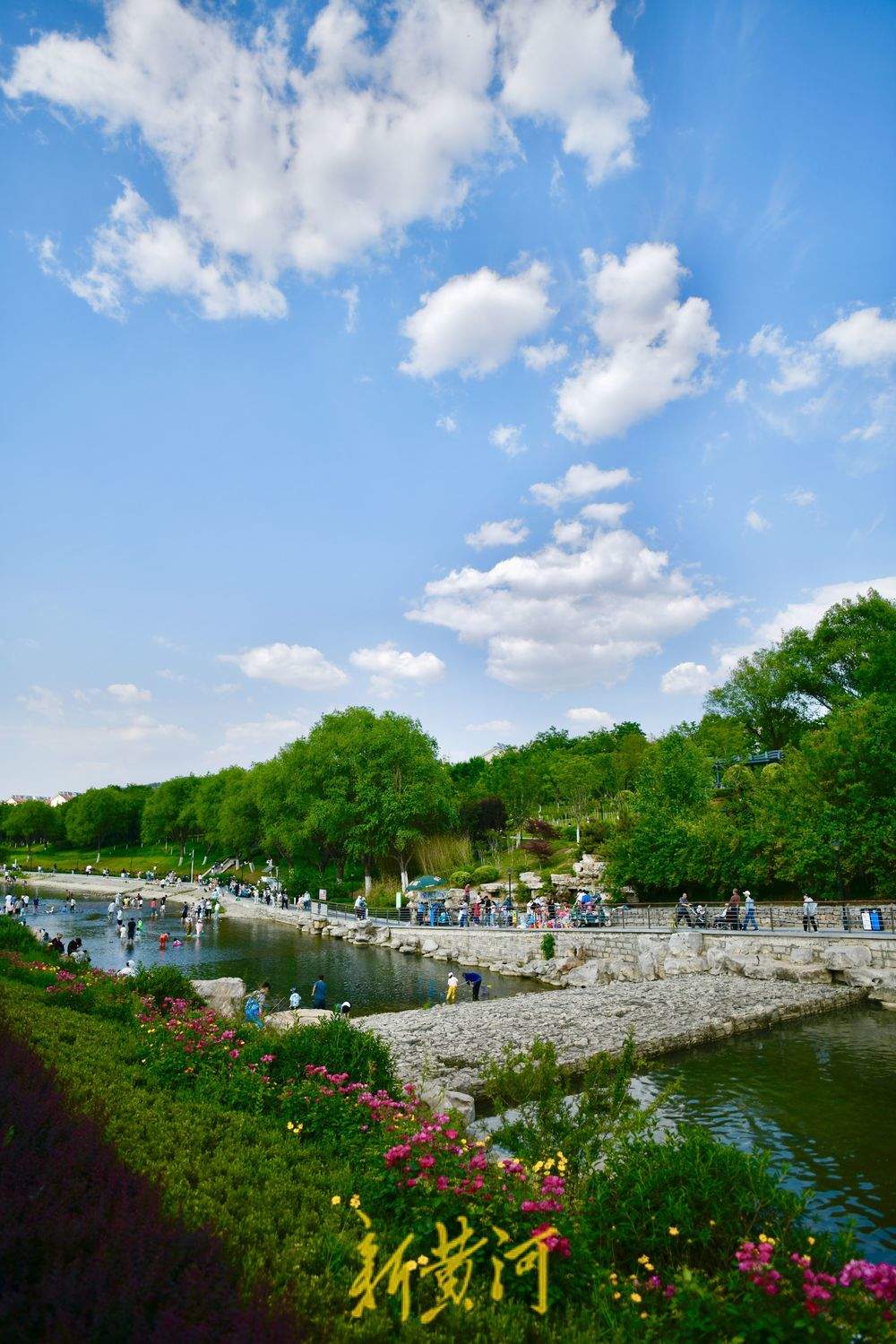 泉城初夏限定美景，蓝天白云悠悠入画来