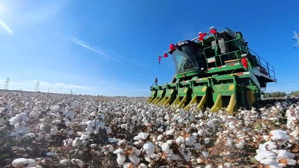 特色农业挖潜力 丰收喜悦满田间