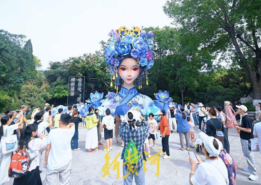 “会说话+有荷香”！泉城“湖畔雨荷”2.0迁新居热度不减