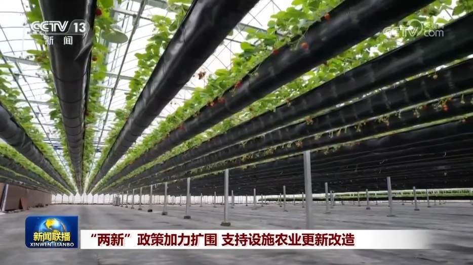 “两新”政策加力扩围 支持设施农业更新改造