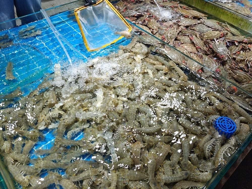 “一天一个价”，济南海鲜市场皮皮虾价格一天降10元