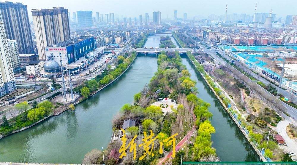 小清河五柳岛杨柳吐绿 济南市区最大河中岛春意盎然