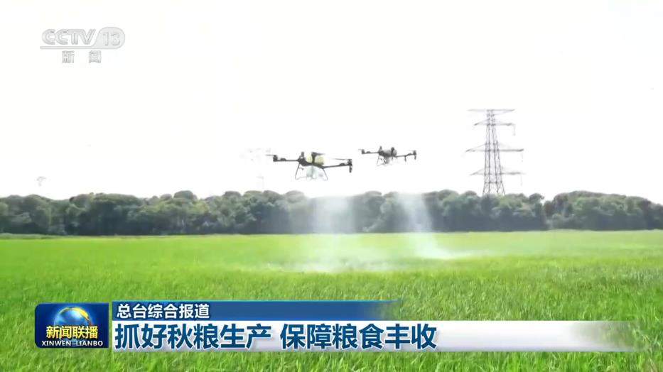 抓好秋粮生产 保障粮食丰收