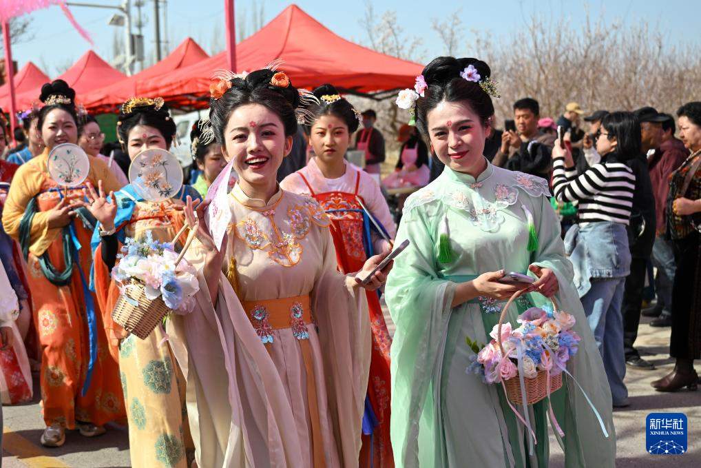 新疆吐鲁番：赴一场杏花之约