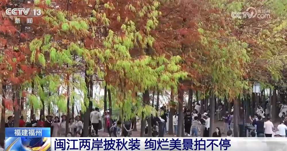 打造“赏秋游”新体验 “秋日经济”带火文旅消费