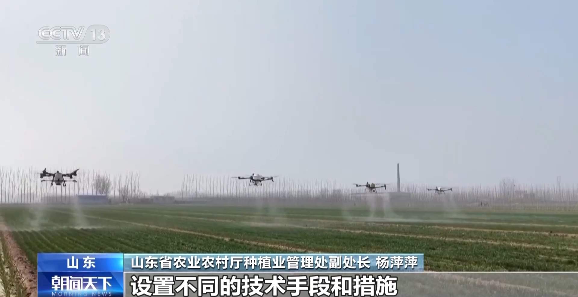 晚播麦吃上“营养餐” 山东精细化田管助小麦“强筋健骨”