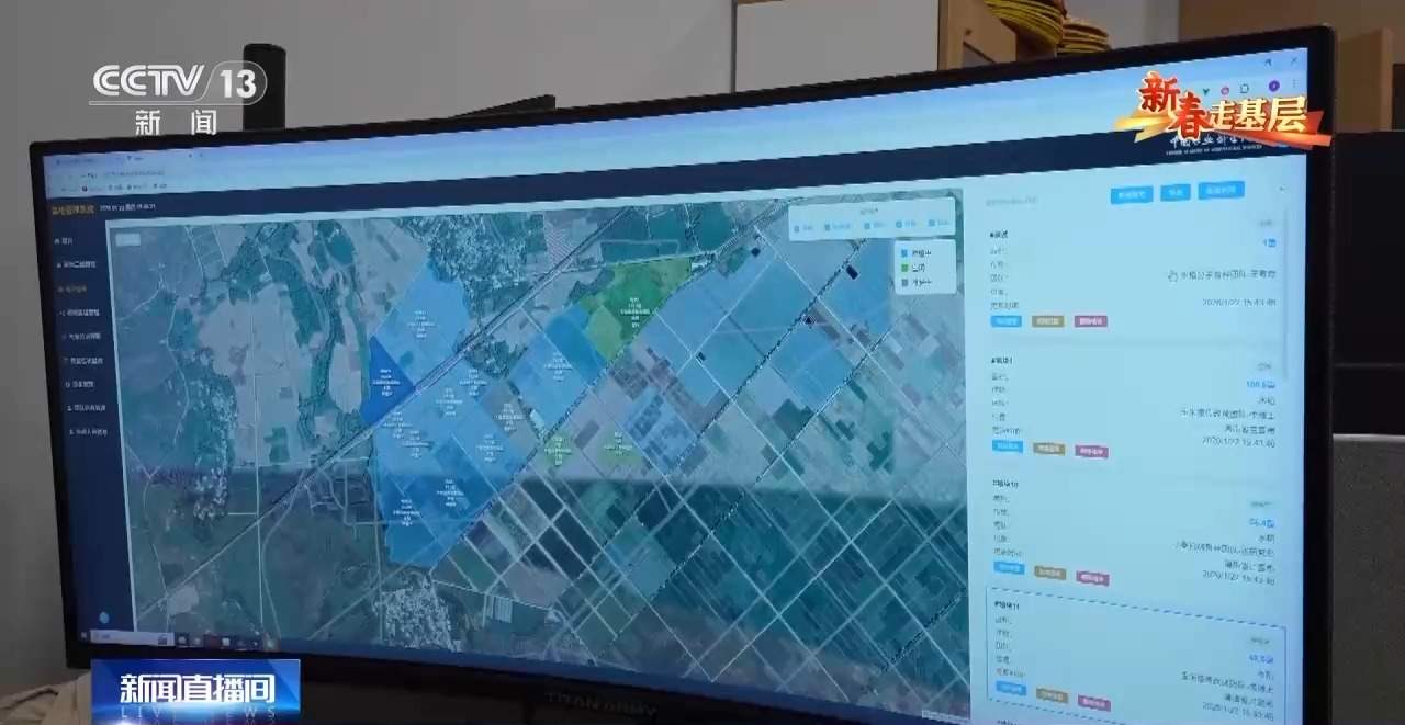 新春走基层丨水稻育种遇上AI 老专家与工程师联手“抢花期”