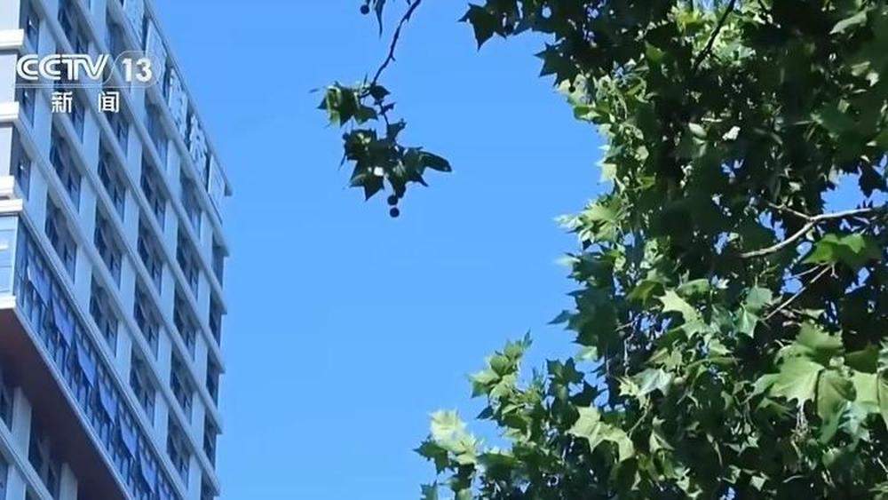 最高42.4℃！山东多地遇高温天气，桑拿天啥时候退？