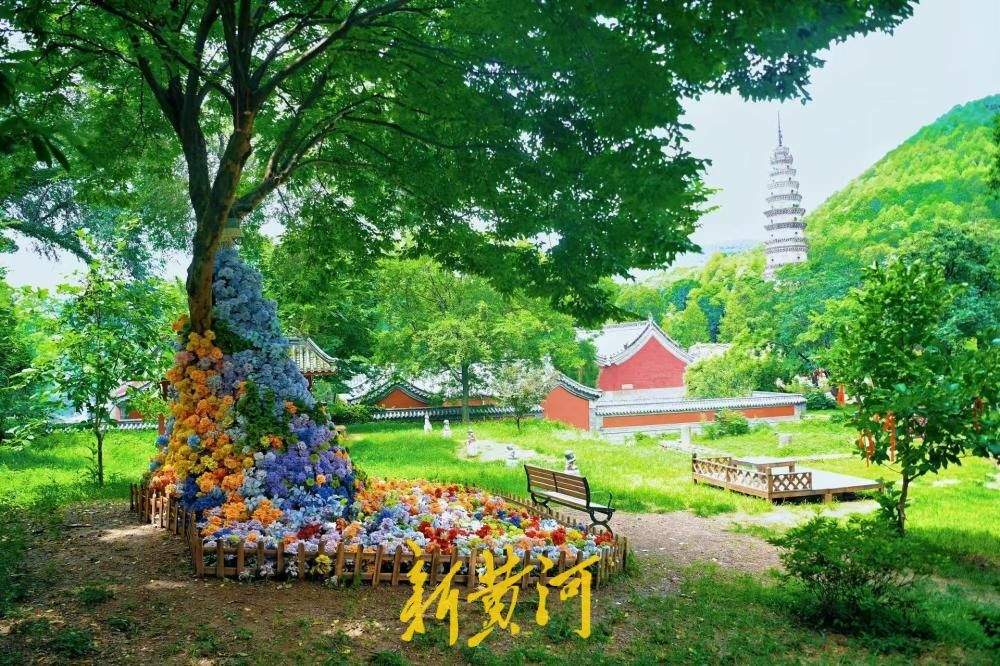 花艺新景扮靓灵岩古寺，荷景花瀑绘就山林消暑画卷