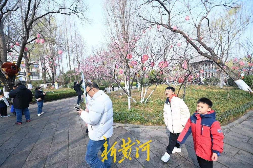 济南五龙潭泉畔红梅盛开，游人争相打卡享春光