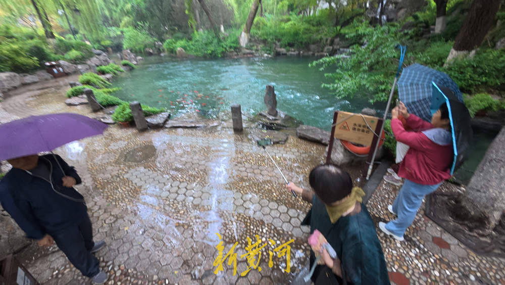 水位上涨泉水喷涌发力 溢出泉池涌入岸边路