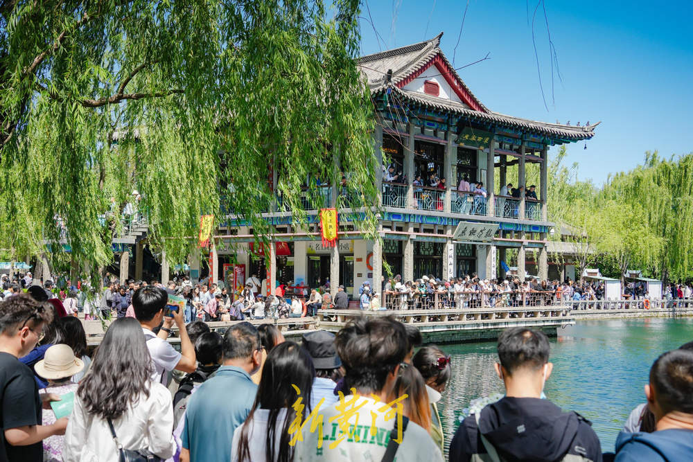 一年四季 泉在济南｜济南五龙潭公园风景如画 游客尽享假日时光