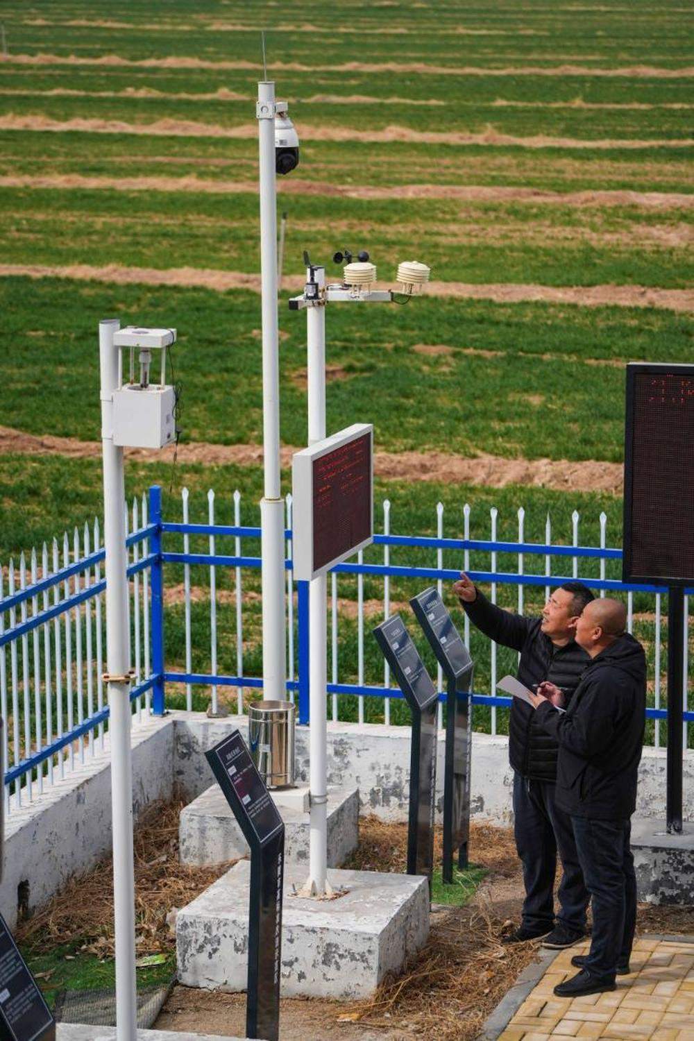 数智赋能：山东加快智慧农业发展