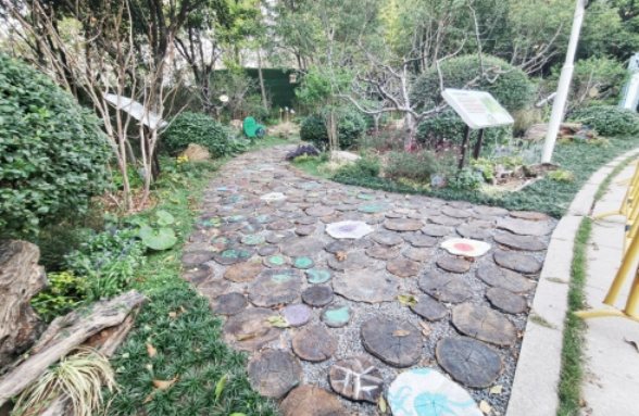 边角空地“变身”生态乐园