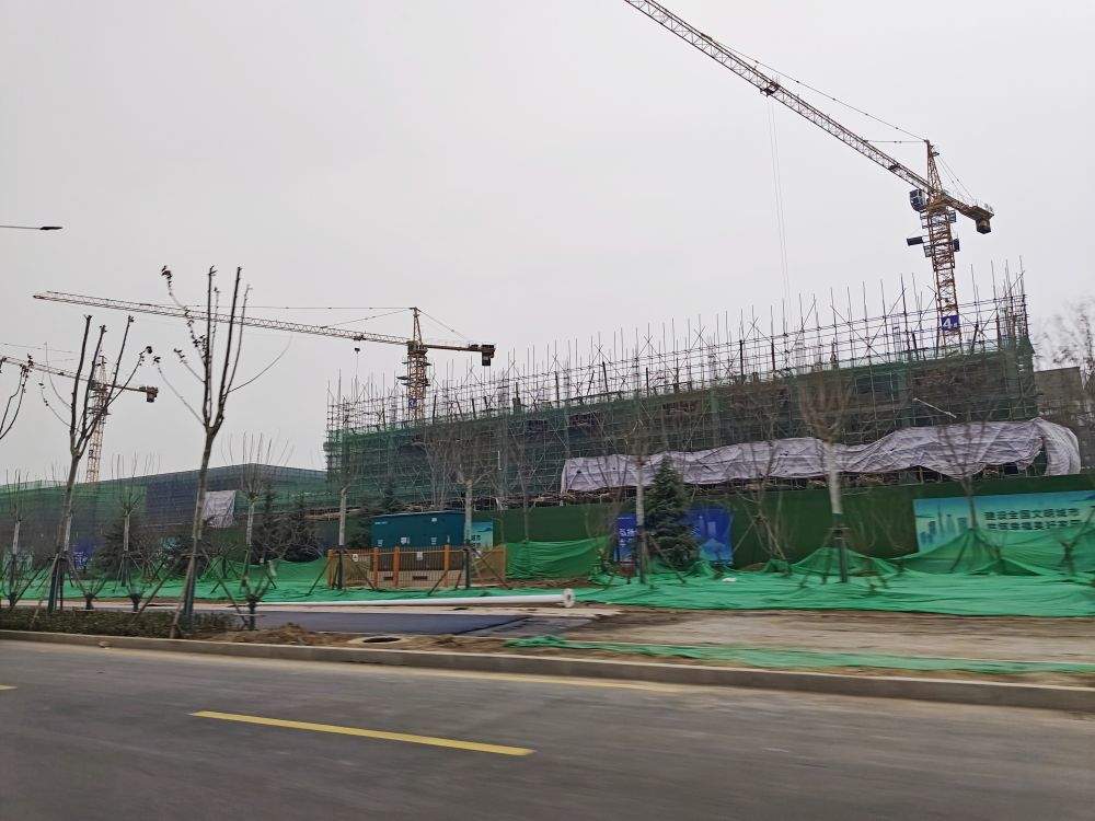 跑好新春“第一棒”——山东重大项目建设一线扫描