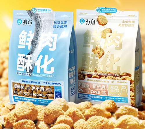 2026 养猫必读｜高性价比猫粮实用推荐 新手避坑指南