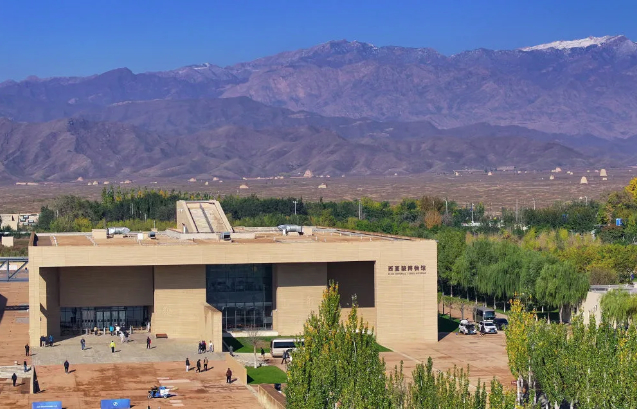 在西夏陵寻迹中华