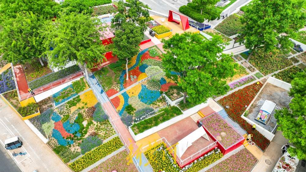 济南这处七彩花田换新装，色彩“拼盘”打造美学空间 