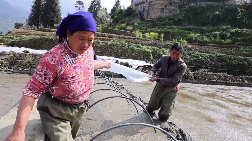 新华视点｜不负春光开好局 各地忙生产稳就业