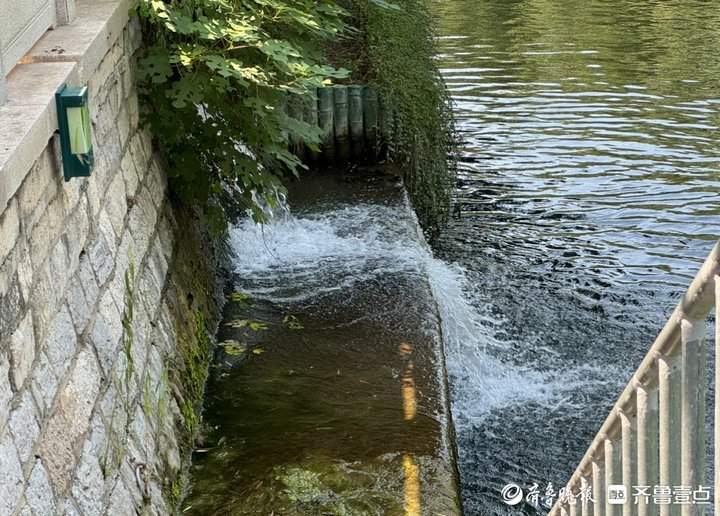 老东门附近疑似自来水流向护城河？相关部门：是泉水，已存在多年