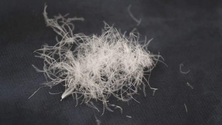 羽绒产品质量问题引热议：有商家“剪标”后再上架