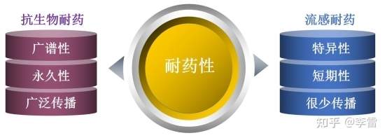 流感用药需考虑耐药问题吗？操心家长在线提问