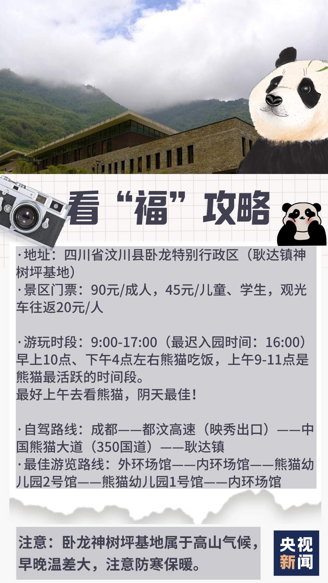 “福宝”即将和公众见面！还有这些“心上熊”可以相约