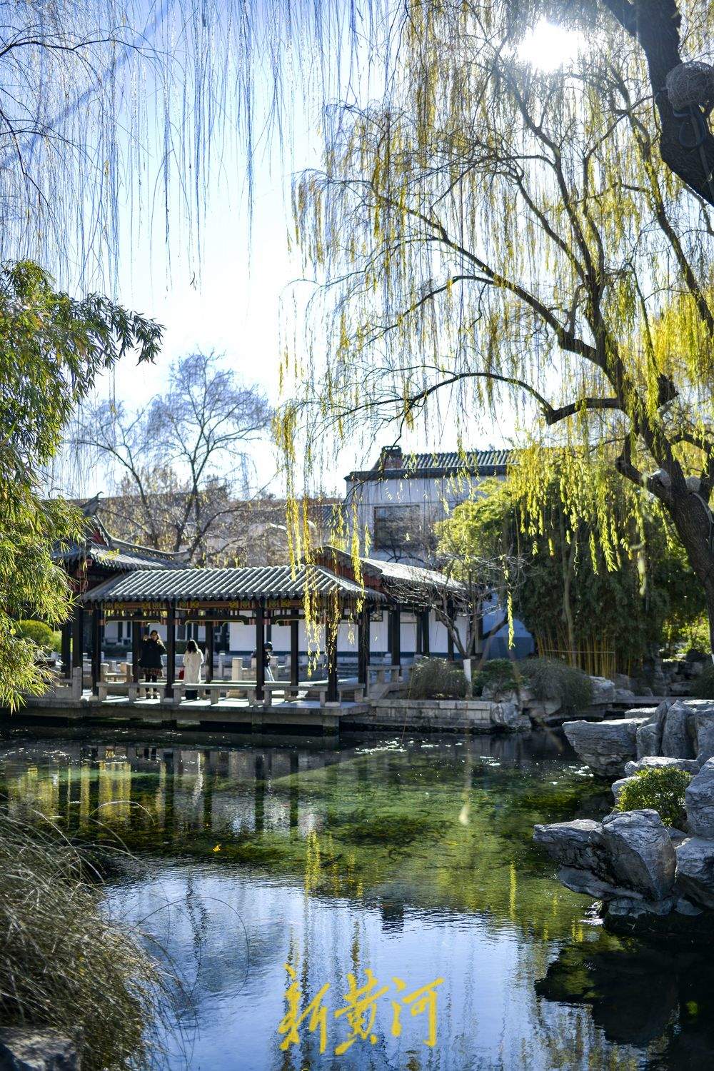 “泉”在济南冬游记｜泉城冬日暖意融融，泉池宛如水墨丹青画 