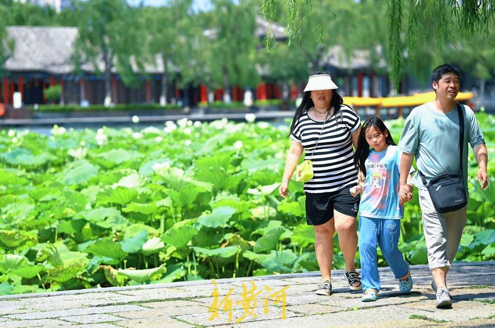 一年四季 泉在济南｜泉城高温持续，游客大明湖畔赏荷避暑享惬意