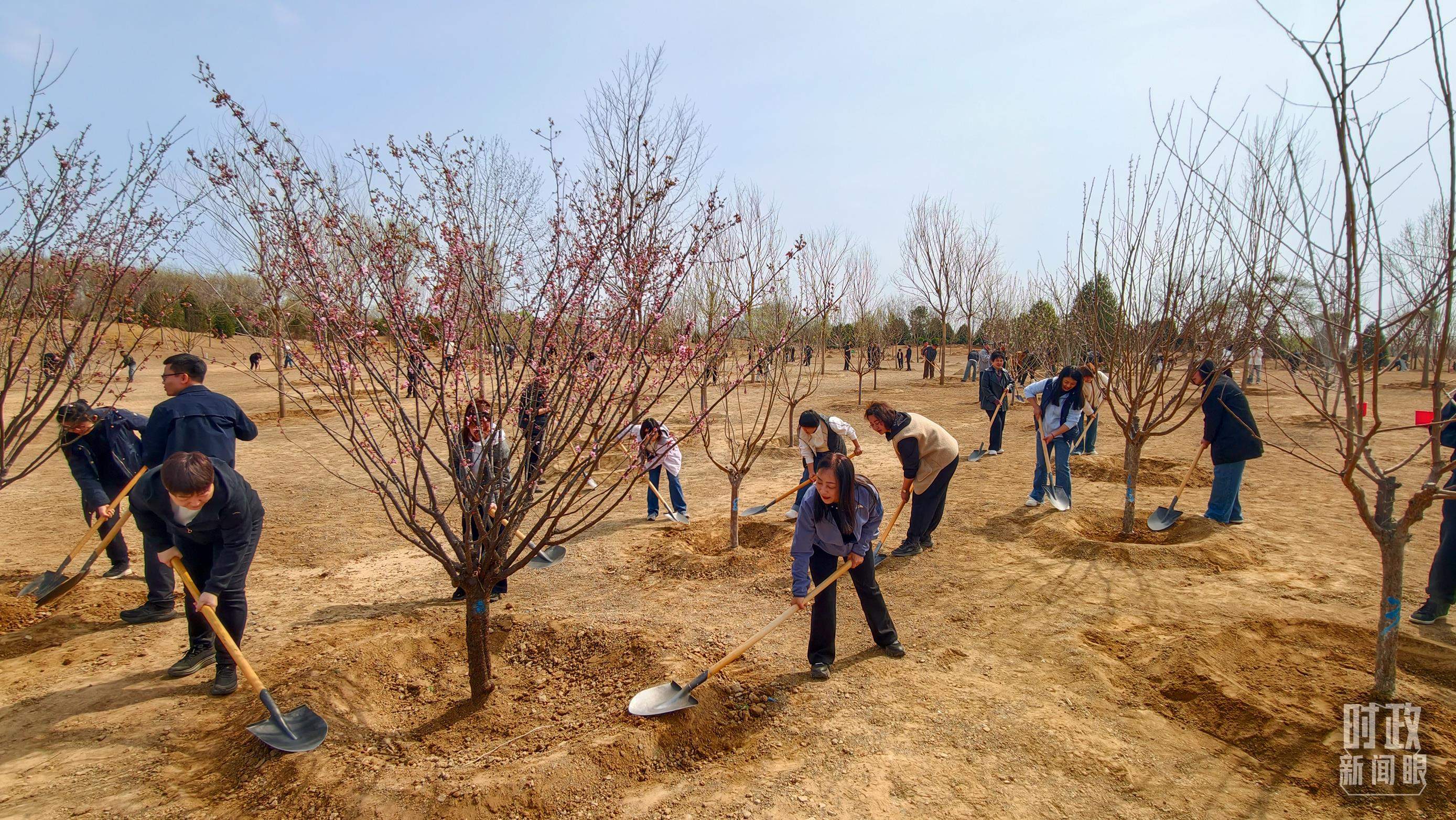 时政新闻眼丨在首都义务植树活动现场，习近平强调这件利国利民的大事