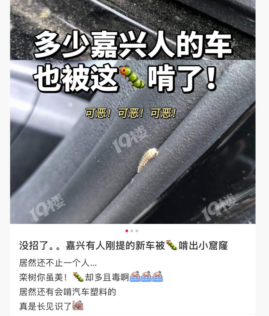 车上莫名其妙出现小圆洞，不少人已“中招”，专家提醒