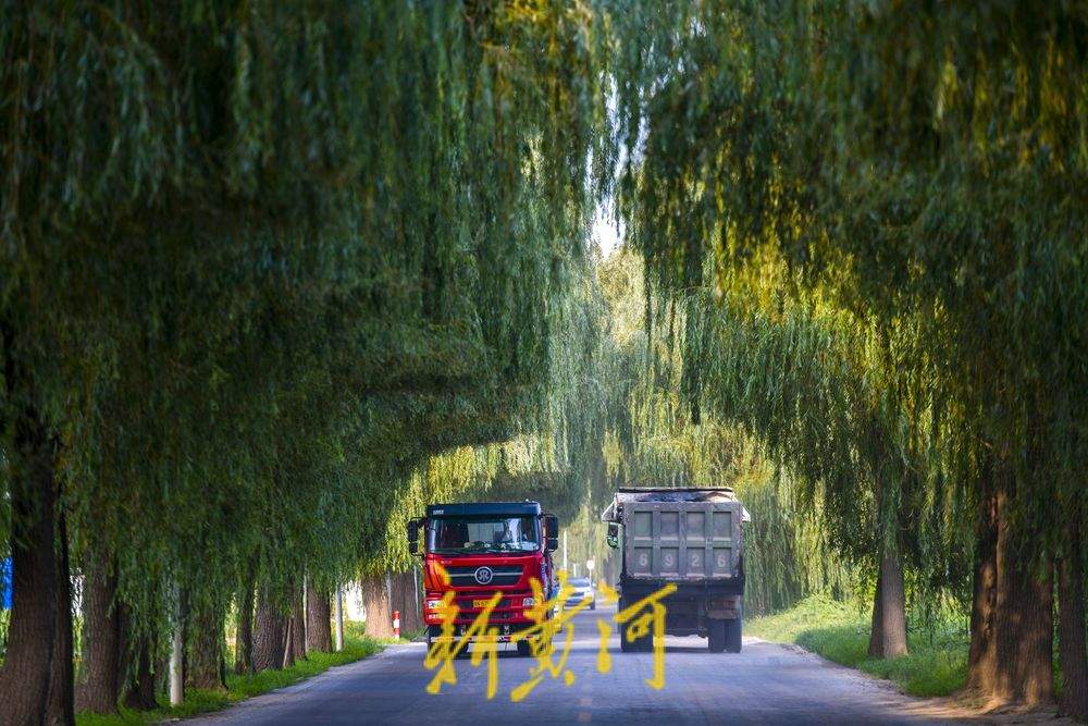 过往货车如剪刀 造就柳荫隧道