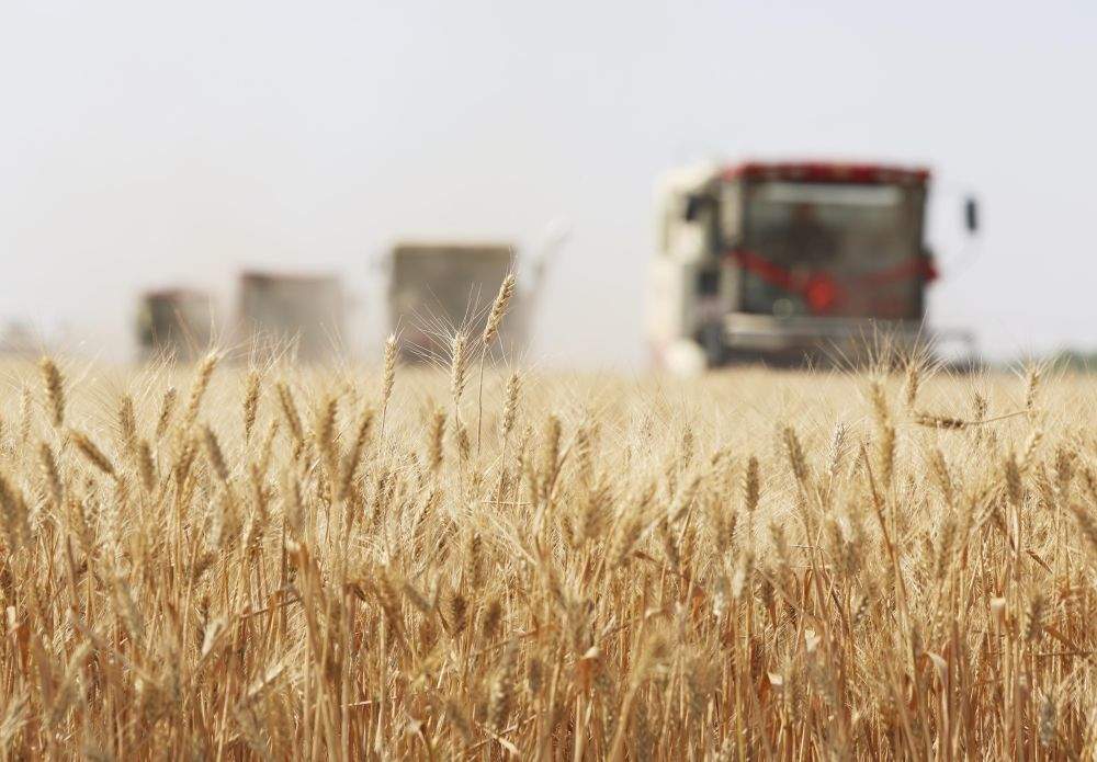 习近平总书记关于总体国家安全观重要论述的生动实践