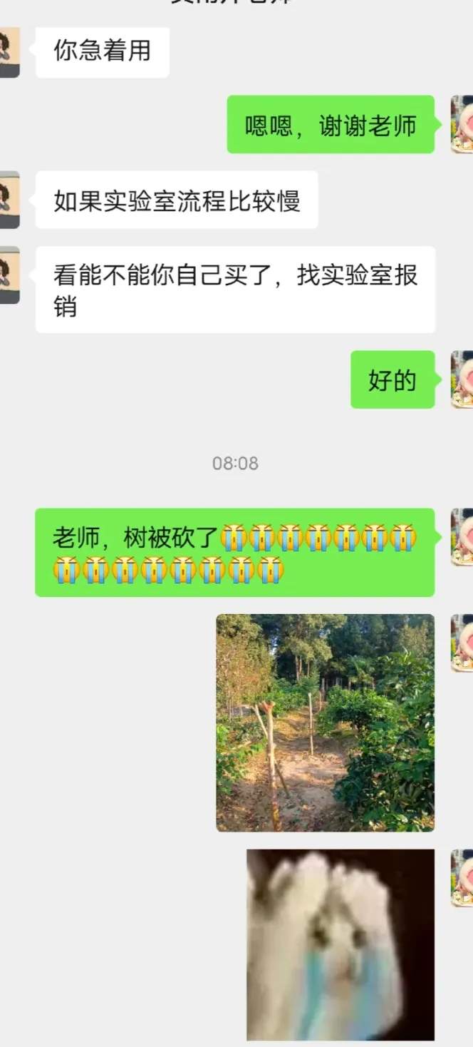 “我的论文被谁偷吃了” 农学生毕业论文惨遭“毒手”
