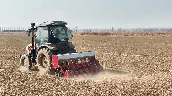 受去年秋汛影响，小麦晚播苗情偏弱，山东“农技壮苗”在行动，盐碱地里抢春光