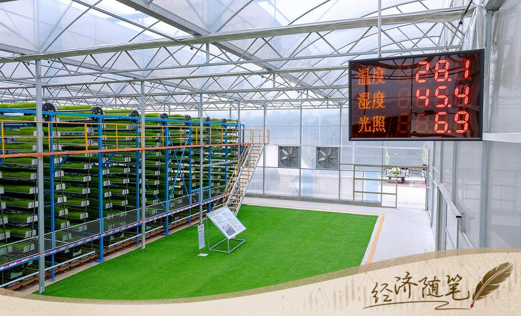 经济随笔丨从七个“更”读懂中国经济