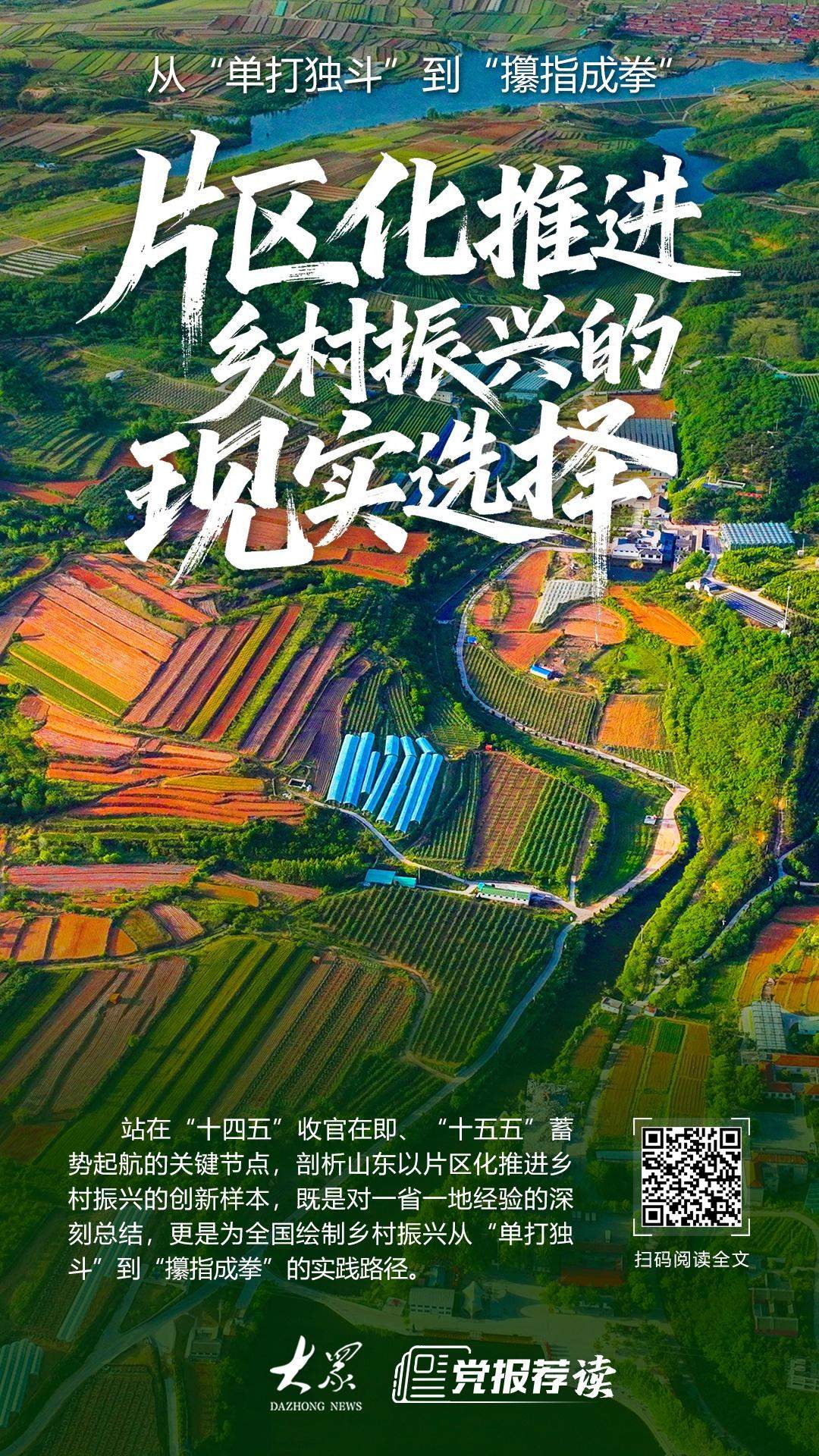 从“单打独斗”到“攥指成拳” ,片区化推进乡村振兴的现实选择