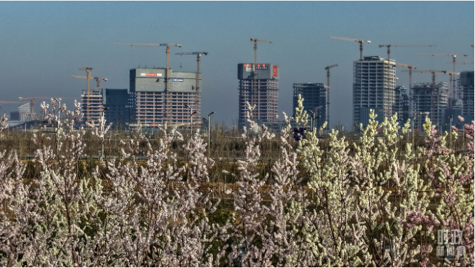 时政新闻眼丨第四次到雄安，习近平为“千年大计”作出重要部署