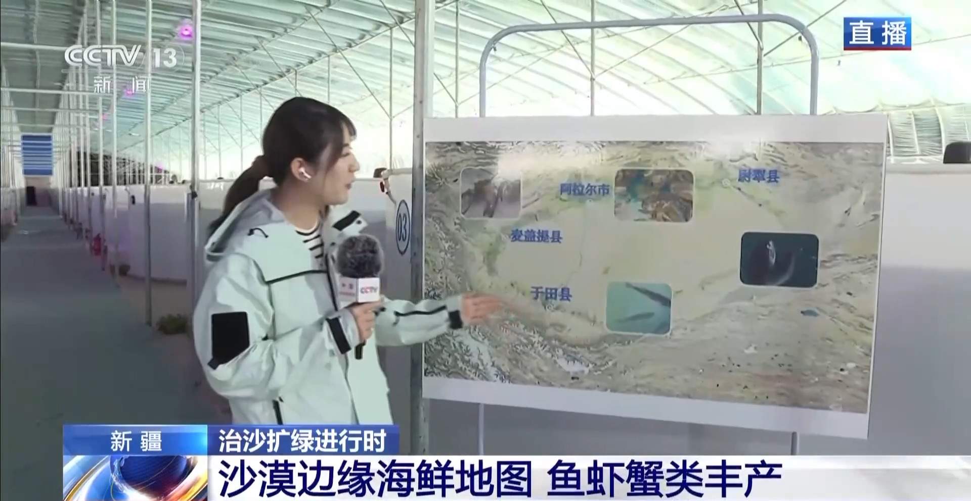 沙漠里如何养海鲜?解锁塔克拉玛干沙漠的水产养殖密码