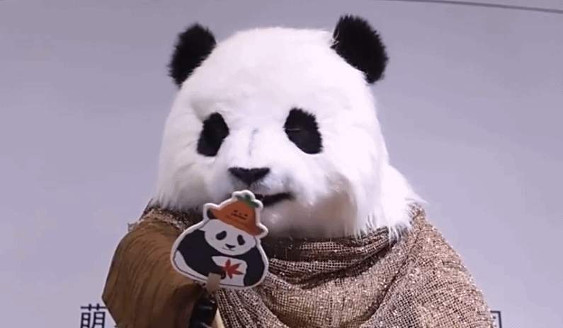 影视机械臂、仿生熊猫……AI摇身一变成电影“创作合伙人”