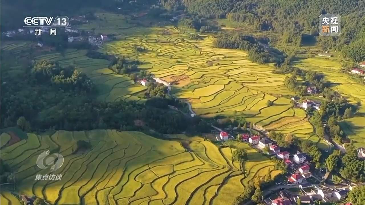 从抗旱到抢收 解读粮食增产背后的“密码”