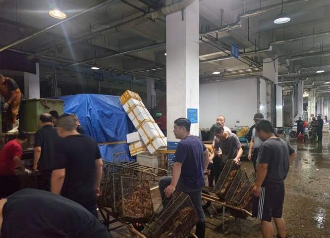 山东沿海正式开海，第一口“鲜”何时到济南？