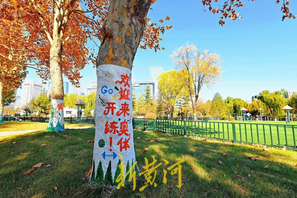 “熊猫爬树”“青蛙放气球”……济南奥体中心巧绘冬日树景