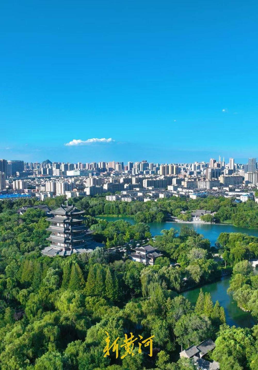 高温天遇泉城蓝，大明湖水天一色尽显明湖风华