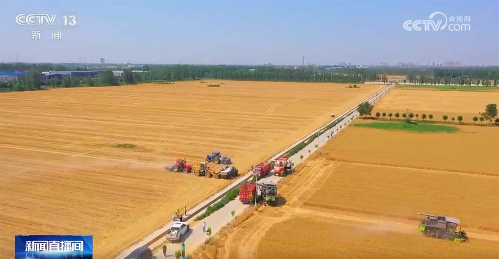更实、更细、更“智慧” 气象服务护航“三夏”保障夏粮丰收归仓