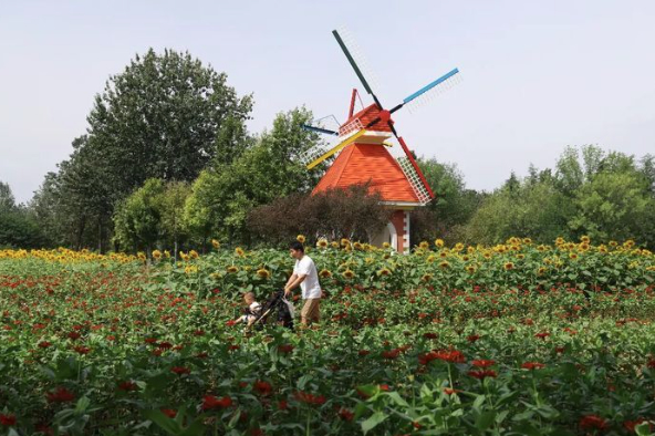 白露时节“秋高气爽” 本周济南气温最低17℃最高33℃