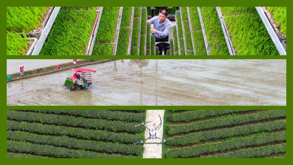 春播春管进行时——各地农业高质量发展一线观察