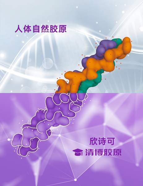 崇山生物——欣诗可「清博胶原」技术重塑肌肤焕活法则