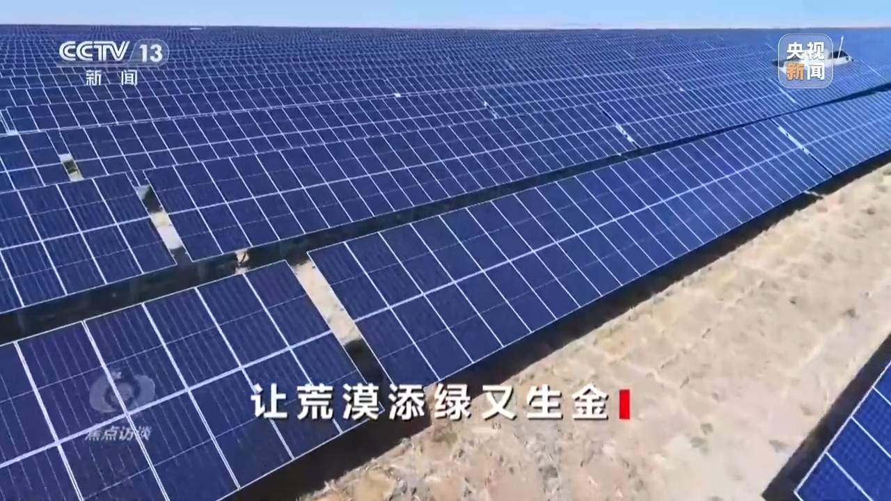 让荒漠添绿又生金 看“三北”的生态蝶变